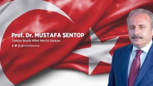 Şentop; Anayasal düzlemde Başkanlık Sistemi'nde bir eksiklik bulunmuyor