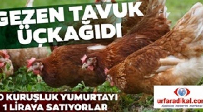 Üçkâğıtçılar 10 kuruşluk yumurtayı 1 TL'ye satıyorlar