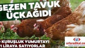 Üçkâğıtçılar 10 kuruşluk yumurtayı 1 TL'ye satıyorlar