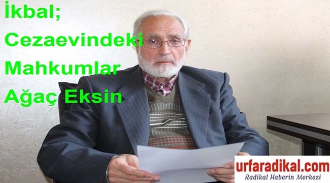 İkbal; Cezaevindeki Mahkumlar Ağaç Eksin 