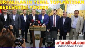 Şanlıurfa'da Yerel Yönetimler Toplantısı ve Pozitif Ayrımcılık 