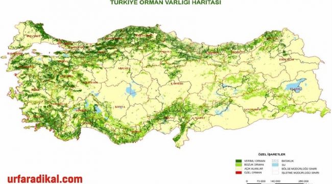 Türkiye'de Ormanlar Ve Ağaç Türleri