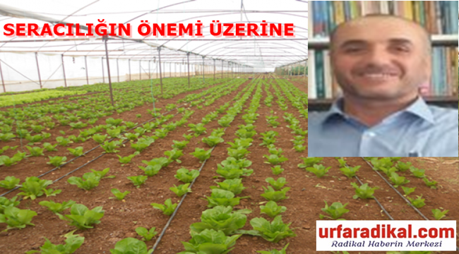 Yazarımız Nihat Güç'ten Urfa'da Seracılığa Dikkat Çekecek Yazı