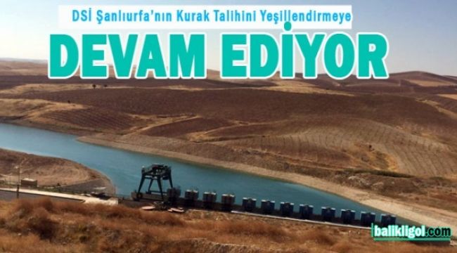 Şanlıurfa’da Harran Suruç Ovası sulaması devam ediyor 