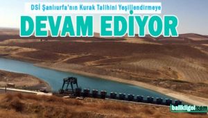 Şanlıurfa’da Harran Suruç Ovası sulaması devam ediyor 