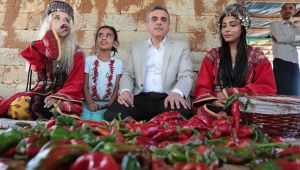 Şanlıurfa'da İsot Hasadı Festivalle Renklendi ( Video'lu)
