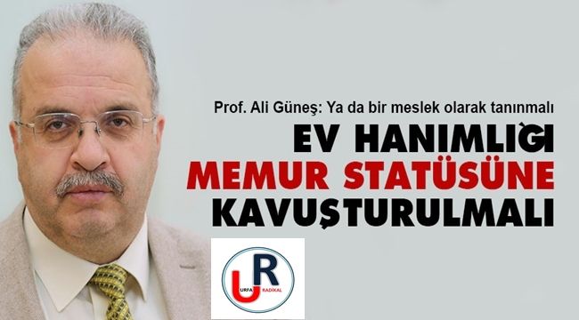 Ev hanımlığı ya memur statüsüne kavuşturulmalı ya da meslek olarak tanınmalı 