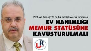 Ev hanımlığı ya memur statüsüne kavuşturulmalı ya da meslek olarak tanınmalı 