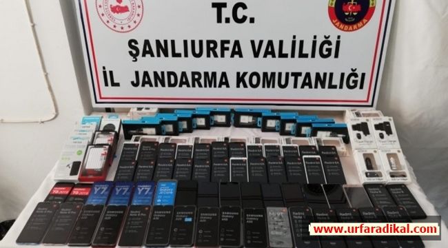 Şanlıurfa’da Dev Operasyonda Ele Geçirilenler Şaşırttı