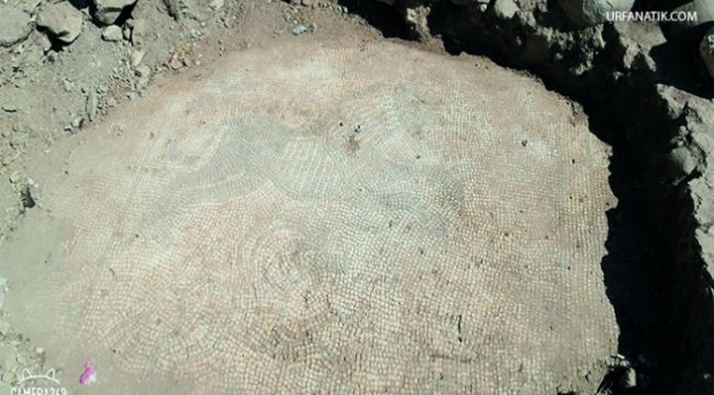 Şanlıurfa JAndarma Tarihi Mozaikleri ele geçirdi