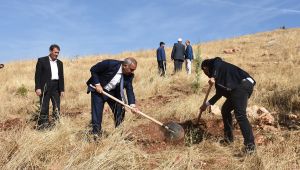 Başkan Bayık ‘Geleceğe Nefes’ için Fidan Dikti