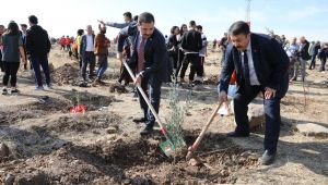 Haliliye Belediyesinden “Milli Ağaçlandırma Gününe” Destek