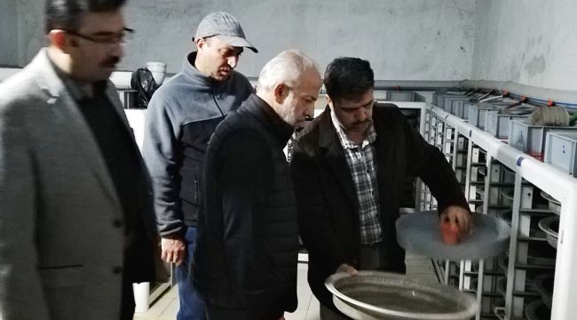 Harran Üniversitesi’nden Alabalık Üreticilerine Teknik Destek