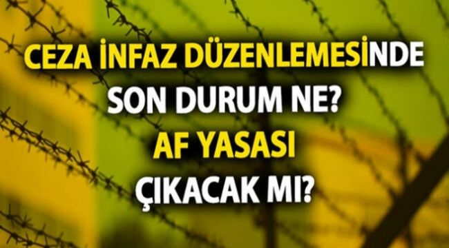 Af Muamması Sürüyor, Tasarı Hakkında CHP Milletvekili konuştu