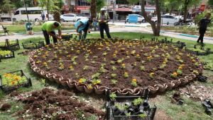 Haliliye belediyesi parklarda düzenlemeye gitti