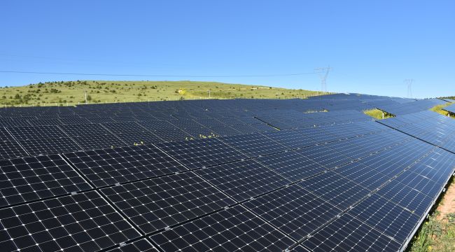 Harran Üniversitesi Kendi Enerjisini Üretiyor