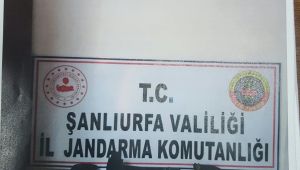 Şanlıurfa 'da Tarihi Eser Kaçakçılığı !!!