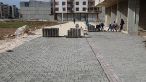Eyyübiye Belediyesinin Çalışmaları Takdir Topluyor