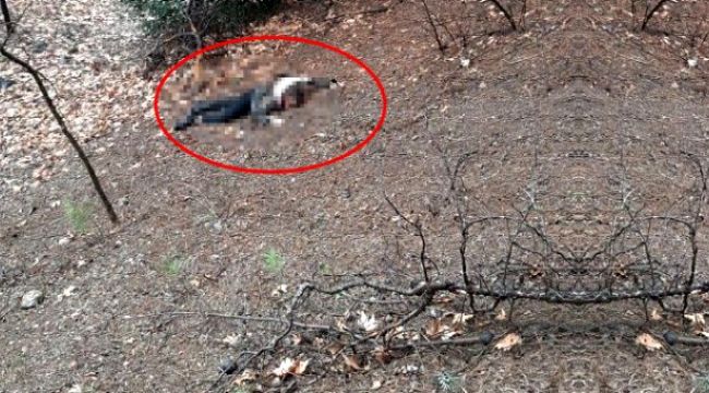 Kumalığı kabul etmeyen genç kadın böyle öldürüldü