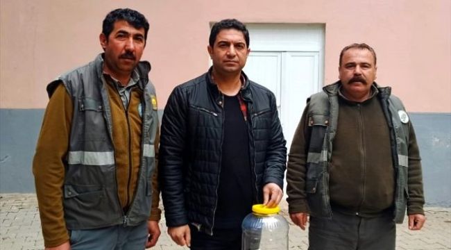 Burdur'da Çıktı Urfa'da Doğa'ya Salındı