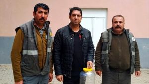 Burdur'da Çıktı Urfa'da Doğa'ya Salındı
