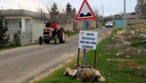 Kadını ısıran köpek telef oldu, tüm mahalle karantinaya alındı