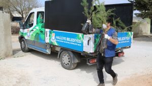 ‘Daha Yeşil Bir Haliliye’ İçin Ekipler İş Başında