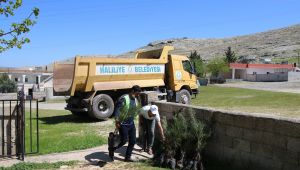 Haliliye Kırsalına Fidan Dağıtımı Sürüyor