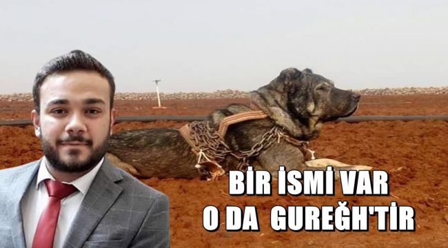 Başkan Kılıç'tan Çok Sert Gureğh Açıklaması