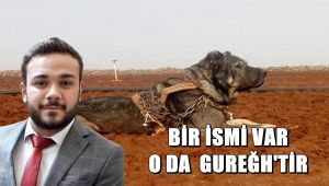 Başkan Kılıç'tan Çok Sert Gureğh Açıklaması