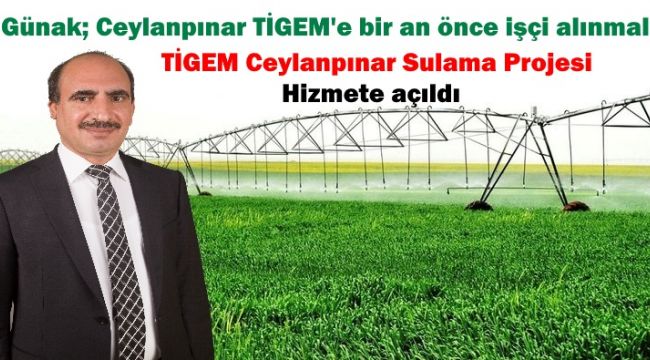 İş adamı Günak: Ceylanpınar TİGEM'e bir an önce işçi alınmalı