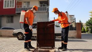 Büyükşehir Belediyesi Vektörle Mücadele Çalışmalarını Sıkı Tutuyor