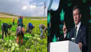 Davutoğlu, Tarım İşçileri Üzerinden Fakıbaba'ya Yüklendi!
