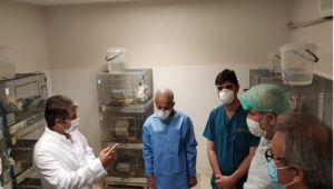 Harran Üniversitesi Hayvan Deneyi Uygulama ve Araştırma Merkezi Faaliyetleri ile Göz Dolduruyor