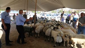 Ekipler Seferber Oldu, Haliliye Bayramda Gül Suyu Koktu