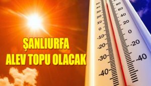 Urfa'da Sıcaklar Giderek Artacak