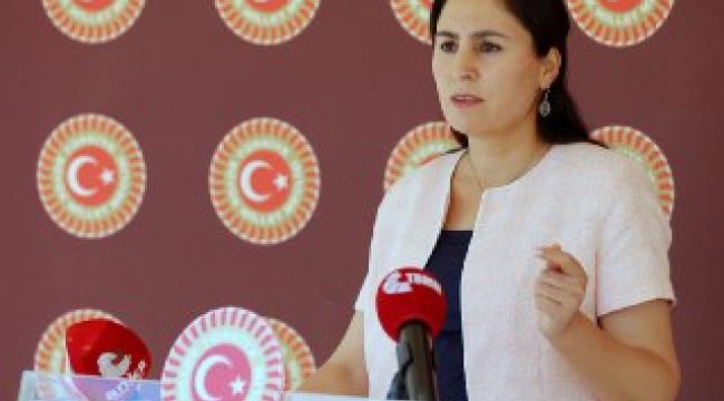 Urfa Milletvekili Ayşe SÜRÜCÜ'nün Urfa’da Dedaş pratikleri ve tarıma dair basın açıklaması