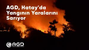 AGD, Hatay’da Yangının Yaralarını Sarıyor