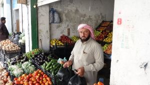 Barış Pınarında Numarataj Çalışmaları Başladı