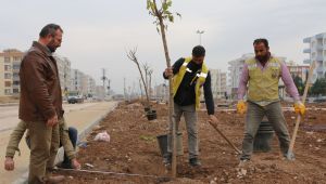 Büyükşehir Asfalt Rotasını Viranşehir’e Çevirdi