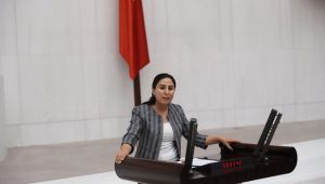 Türkiye Büyük Millet Meclisi Başkanlığına Dilekçe