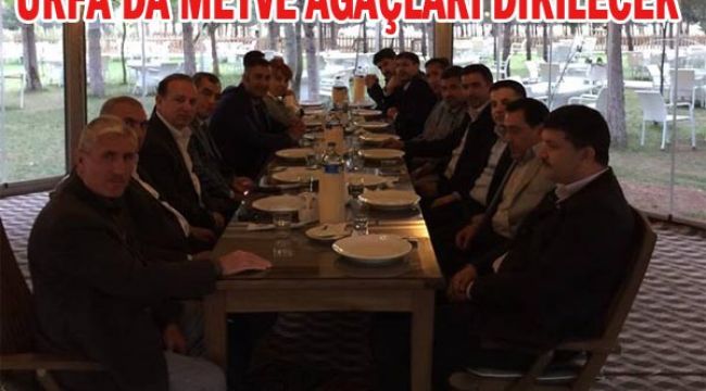 Urfa'da Meyve Ağaçları Yeniden Gündemde