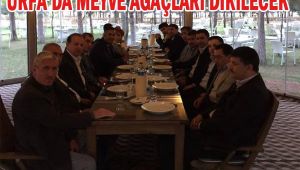 Urfa'da Meyve Ağaçları Yeniden Gündemde