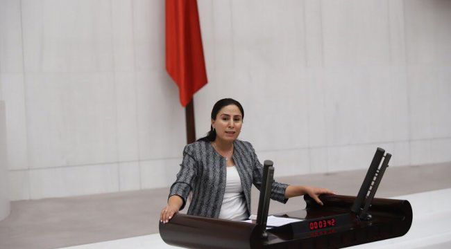 Ayşe SÜRÜCÜ, Urfa ilimizin Hastane sorunlarını Fahrettin KOCA'ya sordu