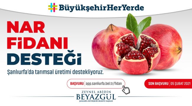 Büyükşehir, Tarımsal Üretimi Desteklemek Adına Nar Fidanı Dağıtıyor