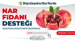 Büyükşehir, Tarımsal Üretimi Desteklemek Adına Nar Fidanı Dağıtıyor