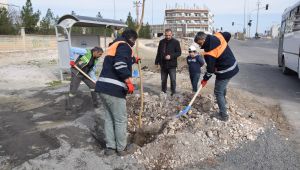 Viranşehir’de Ağaçlandırma Çalışması