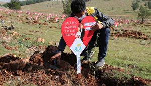 Haliliye Belediyesinden Evlenen Çiftlere Ömürlük Hediye