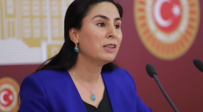 Şanlıurfa Milletvekili Ayşe Sürücü, Meclise İnsan hakları önergesi verdi