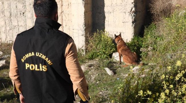 Bombalı Eylem Hazırlığındaki Terörist Şanlıurfa'da Yakalandı